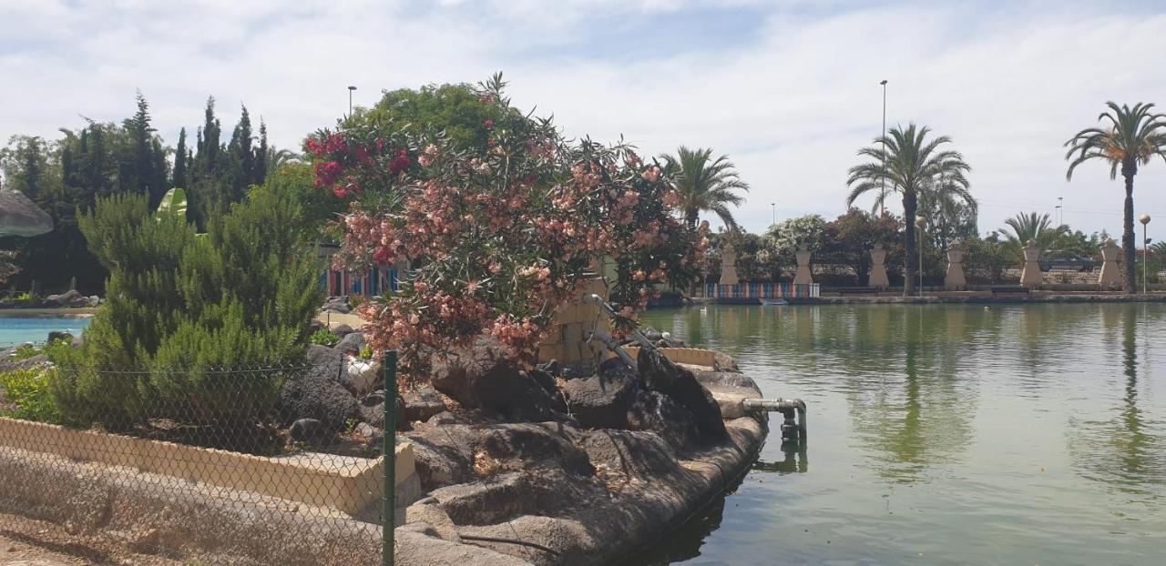 Schoene Wohnung Mit Pool , Wi-Fi Und Privat Garage Torrevieja Luaran gambar